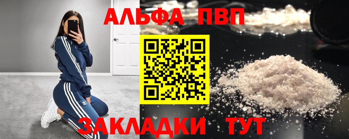 Альфа ПВП СК КРИС Петропавловск-Камчатский
