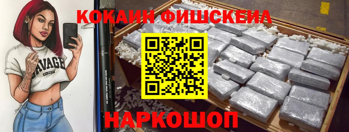 купить наркотики цена  Вход с VPN  Кокаин FishScale  Петропавловск-Камчатский  COCAIN Колумбийский 