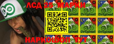 гидропоника Бийск