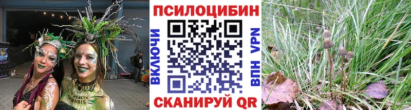 MEGA рабочий сайт  Петропавловск-Камчатский  Галлюциногенные грибы Cubensis  купить наркотик 