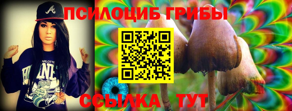 Псилоцибиновые грибы мицелий Петропавловск-Камчатский