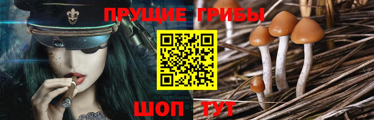 Галлюциногенные грибы Cubensis Петропавловск-Камчатский