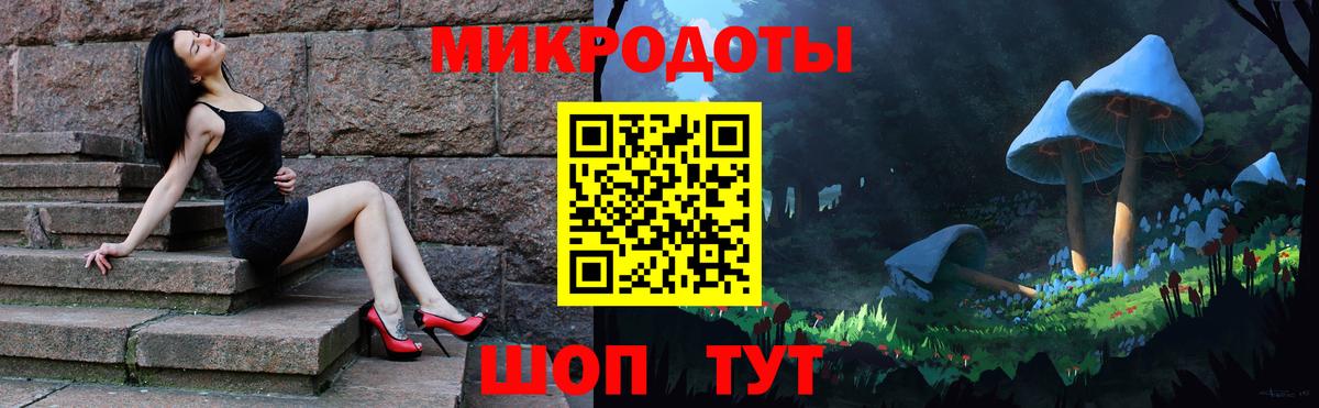 Псилоцибиновые грибы Psilocybine cubensis  Вход с VPN  Петропавловск-Камчатский 